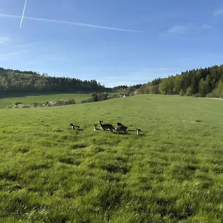 Dommelhof