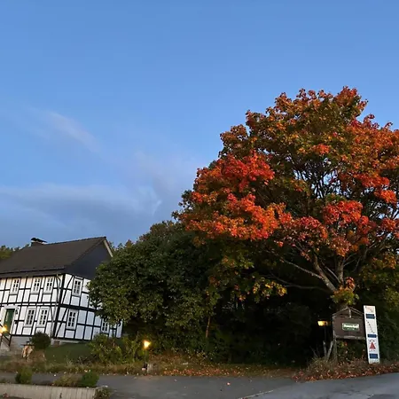 Lejlighed Dommelhof