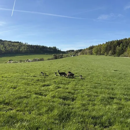 Dommelhof