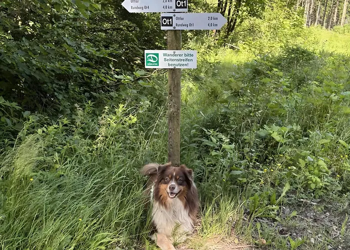 Dommelhof Apartamento *