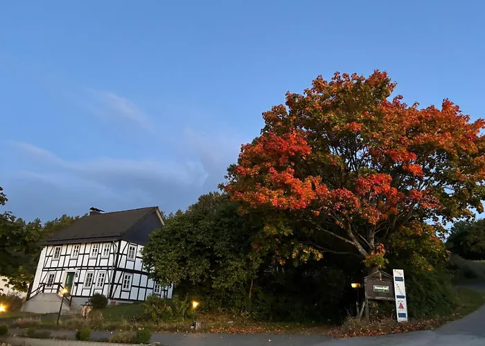 Apartment Dommelhof *